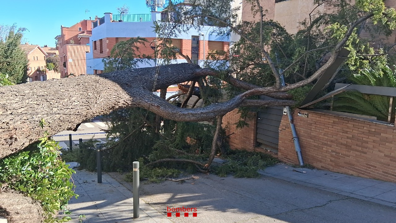 Los bomeros han intervenido en la retirada de estructuras de tejados y árboles caídos