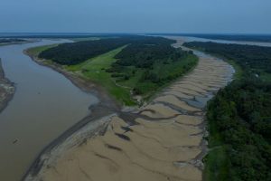 La ciencia amazónica se une en Leticia para salvar el bioma: III Reunión Anual de la Red Bioamazonia